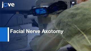 Facial Nerve Axotomy Model to study Motoneuron Response to Injury  Protocol Preview [upl. by Neuberger942]