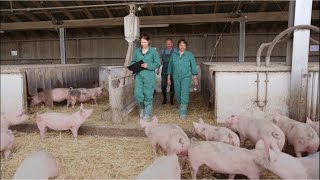 Tierwohl in der biologischen Schweinehaltung [upl. by Malloch]