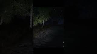 STALKER Call of Pripyat Moments 15 How will I ever deal with a Chimera shortvideo STALKER [upl. by Donnamarie735]