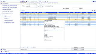 Sage 100 comptabilité i7  Le lettrage automatique [upl. by Kaenel641]