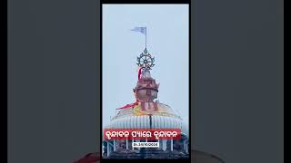 ବୃନ୍ଦାବନ ପ୍ୟାରେ ବୃନ୍ଦାବନ hinduepic hindupost hinduulture hindugod hindugodidols hinduepicshree [upl. by Inahs179]