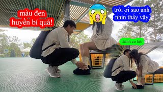 P32  Trâm Anh Khóc Thét Khi Bị Lộ Hàng  GoGo TV Quá Hư Hỏng [upl. by Anerok]