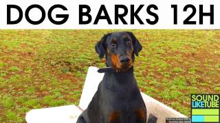 DOG BARKING 12 Hours Sound Effect [upl. by Ecyar]