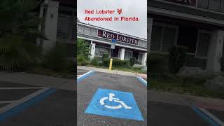 Abandoned Red Lobster 🦞 in Florida Happy 😄 Monday [upl. by Notloc]