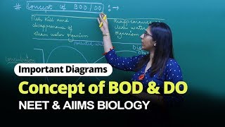 NEET Biology  Concept of BOD amp DO  Important Diagram  In English  Misostudy [upl. by Magree]