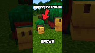 Minecraft Sniffer Fun Facts You DIDN’T Know [upl. by Ynaffi]