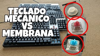 Teclado mecánico vs membrana ¿Cuál es mejor Diferencias [upl. by Atikkin]