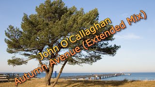 John OCallaghan  Autumn Avenue Extended Mix 2024 [upl. by Fuld120]