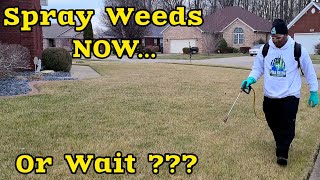 When to start SPRAYING Weeds in the SPRING [upl. by Hsirap]