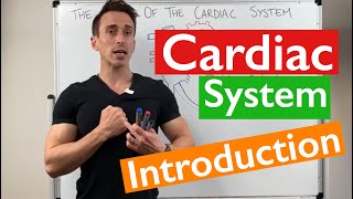 Introduction to the Cardiac System [upl. by Leiba]