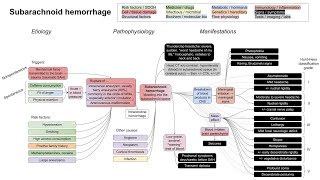 Subarachnoid hemorrhage mechanism of disease [upl. by Ricketts261]