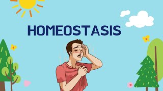 What is Homeostasis in Biology [upl. by Lorna]