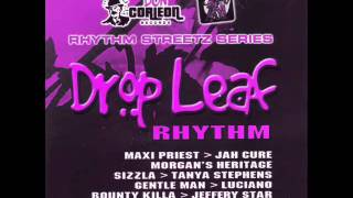 Drop Leaf Riddim [upl. by Geoff101]