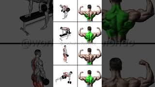 STRONGER Back with DUMBBELLS Best Dumbbell Back Workout [upl. by Atnauq]