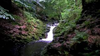 Ardennen  Ardennes Hockai Wandelen  Hiking  Fleet Foxes [upl. by Brote944]