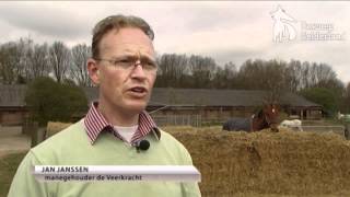 Rhinovirus strop voor manege Heumen [upl. by Fina]