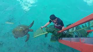 Pulau Derawan Kalimantan Timur [upl. by Ahron]