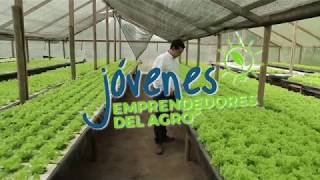 Jóvenes Emprendedores del Agro  Danilo Mondaca [upl. by Mcnamara]