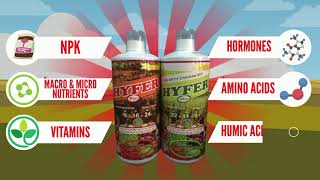 Hyfer Plus Foliar Fertilizer Taglish Video [upl. by Ellesig324]