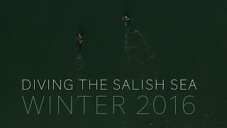 Diving the Salish Sea  Winter 2016 [upl. by Rogerg]