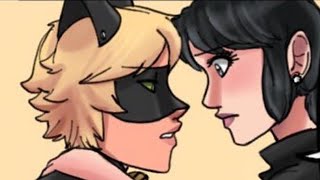 Unsee Marichat Scene FULL  Miraculous Ladybug Comic Dub [upl. by Flanders]