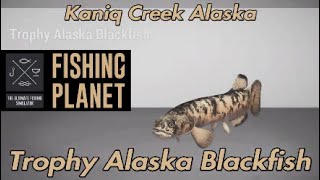 Fishing Planet Trophy Alaska Blackfish Kaniq Creek Alaska Guide [upl. by Doty]