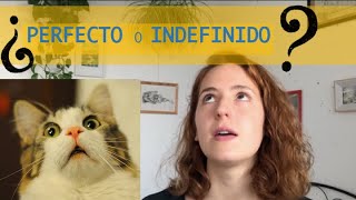 🇪🇸🇪🇸¿Pretérito INDEFINIDO o Pretérito PERFECTO🇪🇸🇪🇸NIVEL A2 👍🏾 Con ACTIVIDADES en PDF 👍🏾 [upl. by Lunette]