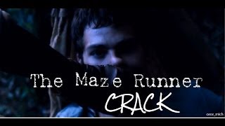 The Maze Runner CRACK 1 [upl. by Anez]