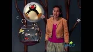 PBS Kids Sprout The Good Night Show Next Bumper Pingu 2006 [upl. by Joashus]