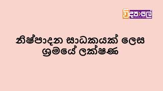 ශ්‍රමය Sri Lanka AL Economics lessons in Sinhala [upl. by Rellia]