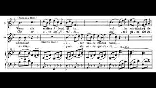 Sullaria Le Nozze di Figaro  WA Mozart Score Animation [upl. by Stralka]