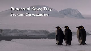 Poparzeni Kawą Trzy quotSzukam Cię Wszędziequot OFFICIAL LYRIC VIDEO [upl. by Wojcik854]