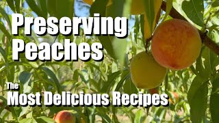 Versatile delicious and decadent PEACH recipes that you can preserve and HOW to use them [upl. by Selmner]