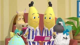 Friendships Forever  Bananas in Pyjamas Season 2  Full Episodes  Bananas In Pyjamas [upl. by Spindell928]