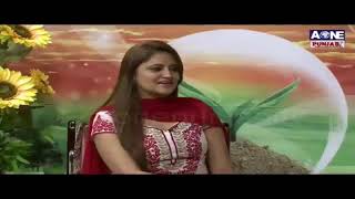 Khushiyan Khere Sade Vehre  Episode  61  AOne Punjabi Tv [upl. by Anaik600]