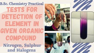 Chemistry PracticalTests for Detection of ElementNitrogenSulphur amp Halogens in Organic compound [upl. by Eliason]