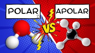 Como identificar se uma molécula é polar ou apolar [upl. by Ahcrop979]