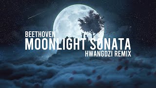 Beethoven  Moonlight Sonata 1st MovementHWANGDZI DUBSTEP REMIX [upl. by Reina]