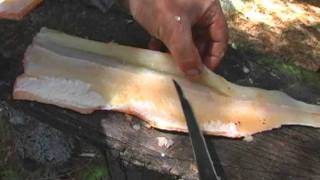 How to Fillet a Northern Pike [upl. by Tacklind308]