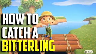 How to Catch a Bitterling  Bitterling ACNH  Bitterling Animal Crossing New Horizons  ACNH Fish [upl. by Amihsat]