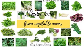 Leafy vegetable name  Green vegetable name  Greens and leafy vegetable name  Easy English [upl. by Bryn]