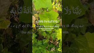 Dua from Quran Rabbana La Tu’akhidhna In Nasina  Powerful Quranic Prayer for Forgiveness [upl. by Nnaeel]