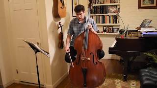 Aspen Music Festival 2019 Double Bass Audition  Orion Miller [upl. by Anaerdna]