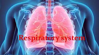 Respiratory physiology Lecture 2 Intrapleural and intrapulmonary pressures [upl. by Heyra]