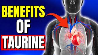 The Benefits of TAURINE 7 Astonishing Benefits You Need to Know [upl. by Beall543]