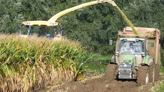 Ensilage maïs 2013 conditions difficiles [upl. by Norina129]