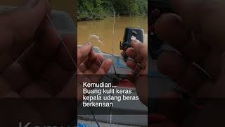 Cara Pasang Umpan Mancing Udang Galah [upl. by Alda]