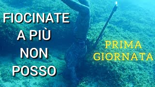 Pescasub PRIMA GIORNATA IN TRASFERTA A TORRE SAN GIOVANNI  Spearfishing [upl. by Anibla]