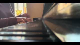 Michael Franks  Antonio’s Song  cover Nina Budaghyan [upl. by Saleme]