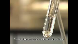 Silver Mirror Test  Tollens Reagent  Magic Chemistry at Lab [upl. by Ziagos]